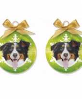 2x stuks huisdieren dieren kerstballen berner sennen hond 8 cm