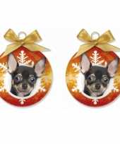 3x stuks dieren kerstballen chihuahua hondje 8 cm
