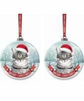 Set van 2x stuks glazen kerstballen britse korthaar katje poesje